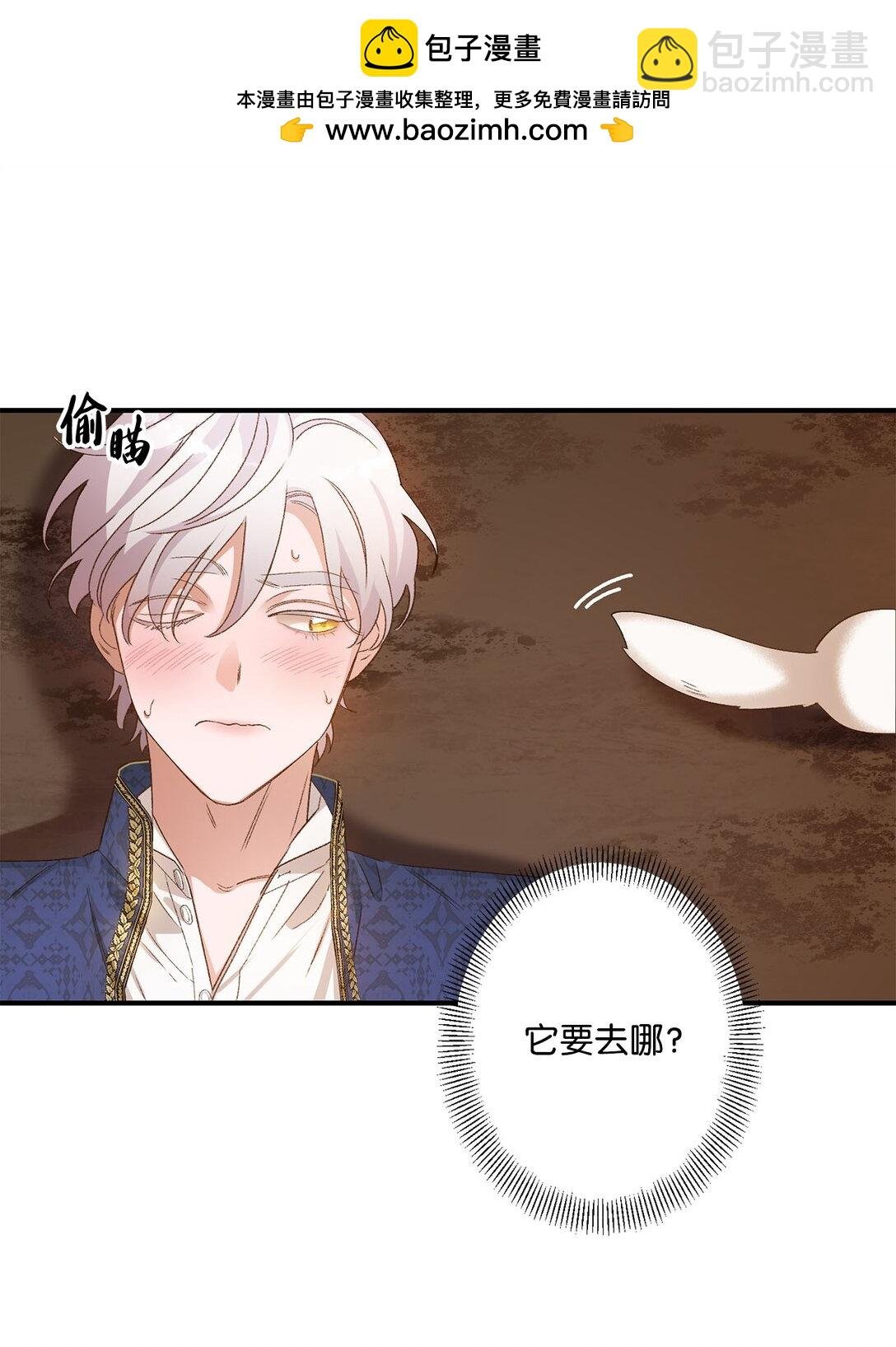 04 会说话的白鼬