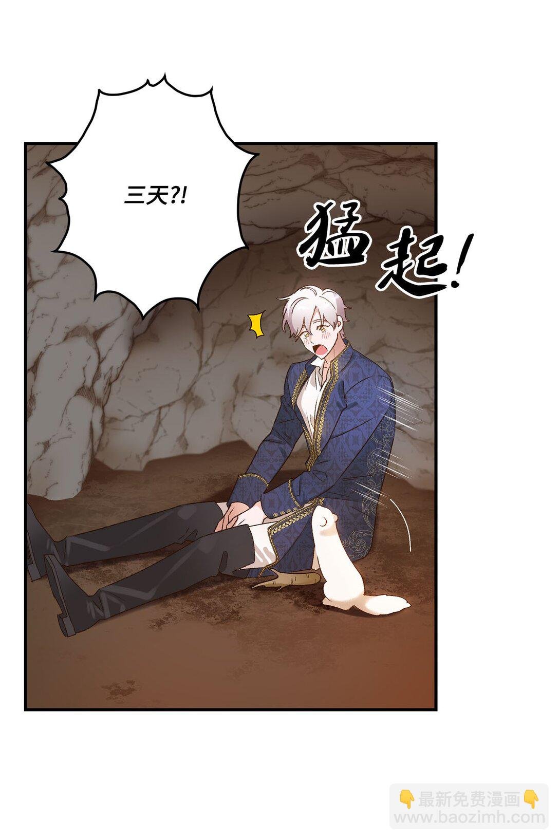 04 会说话的白鼬