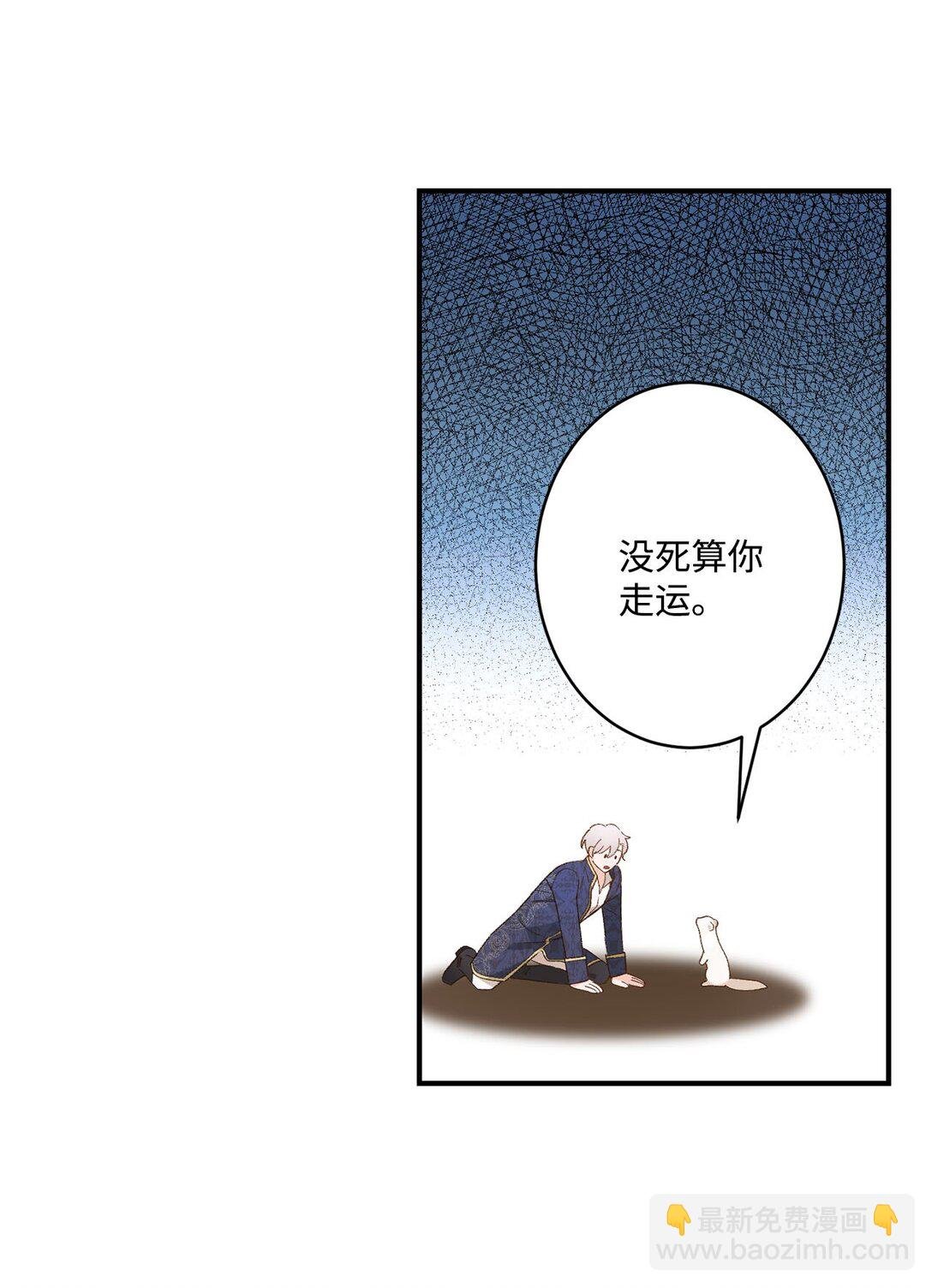 04 会说话的白鼬