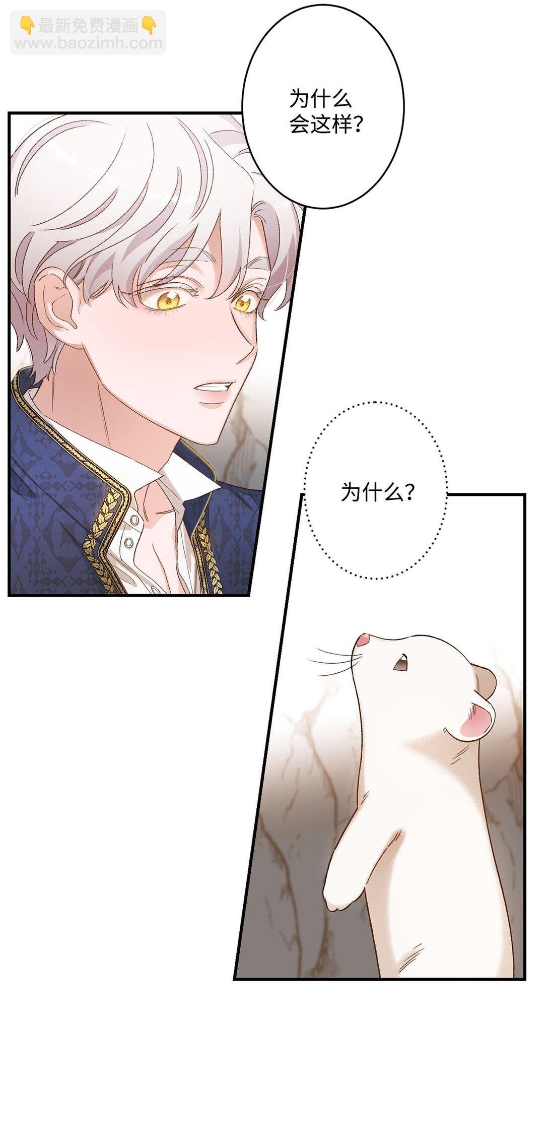 04 会说话的白鼬