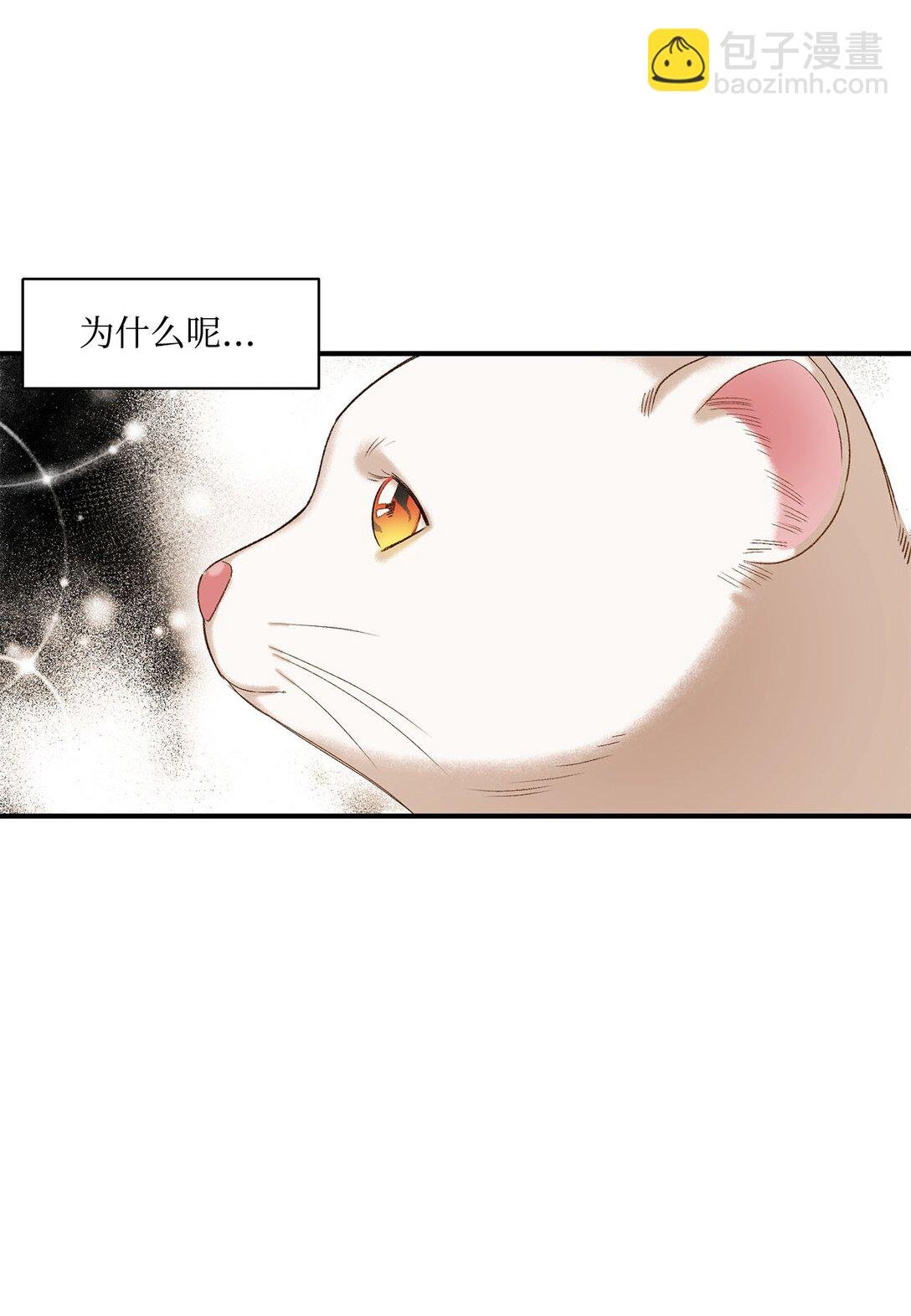 04 会说话的白鼬