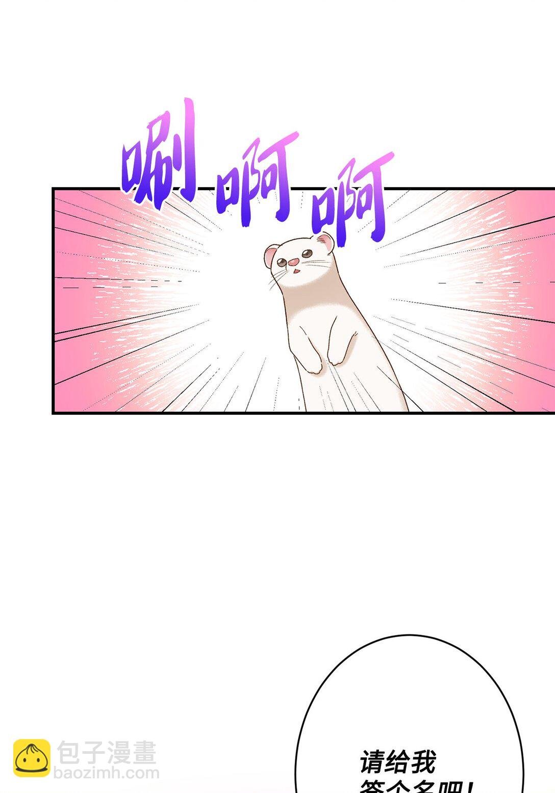04 会说话的白鼬