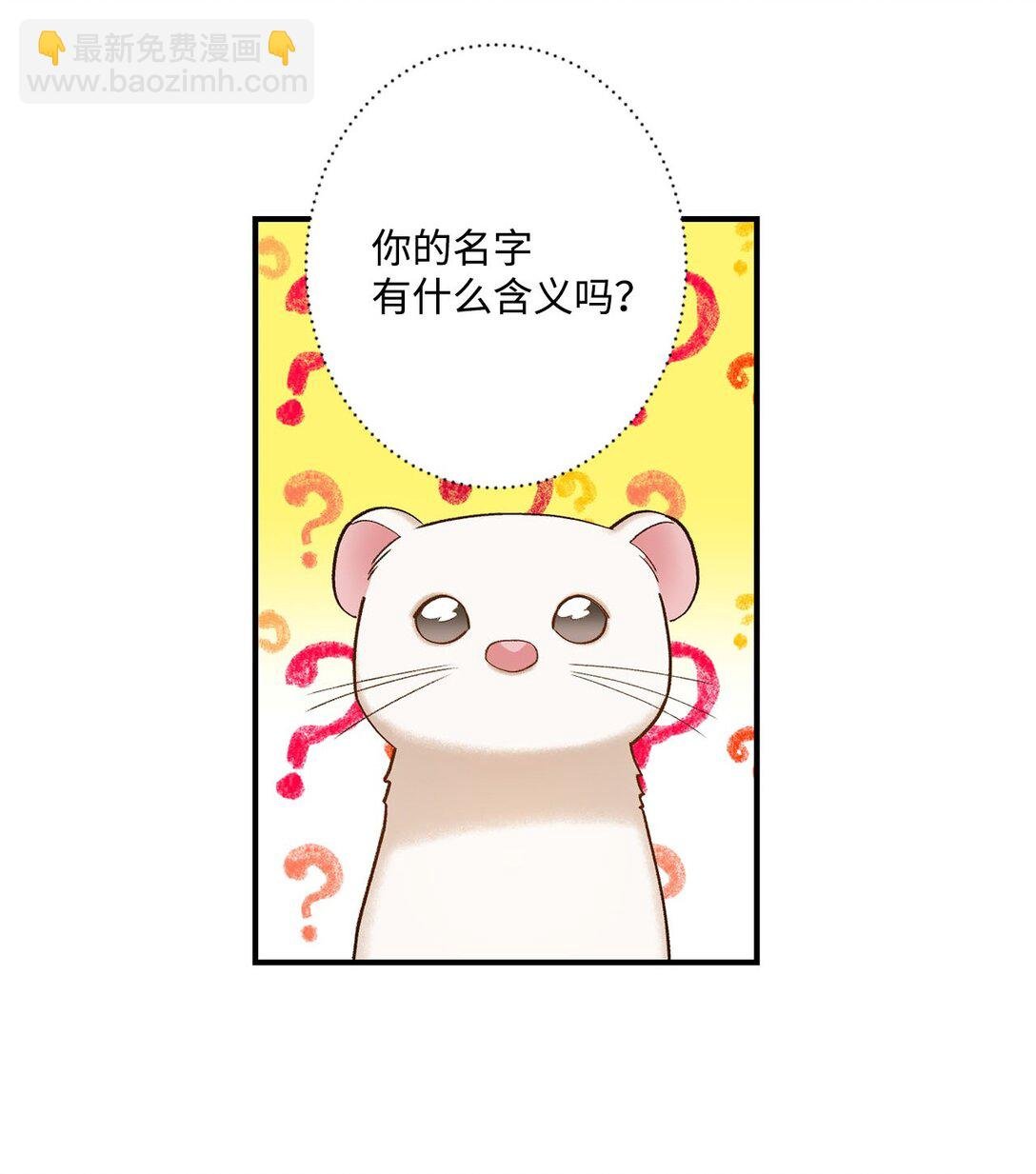 05 我是魔导师