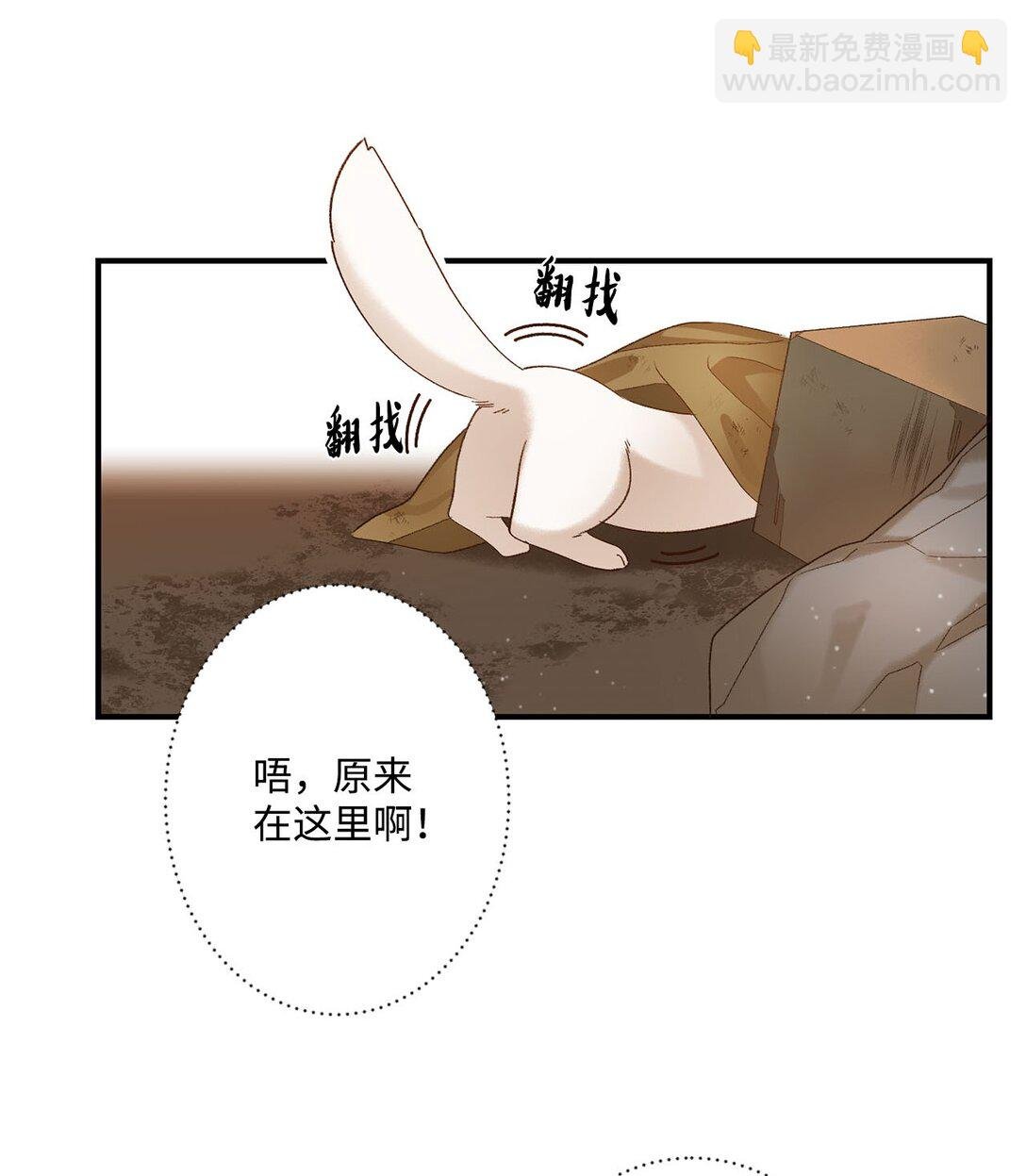 06 寻找食物