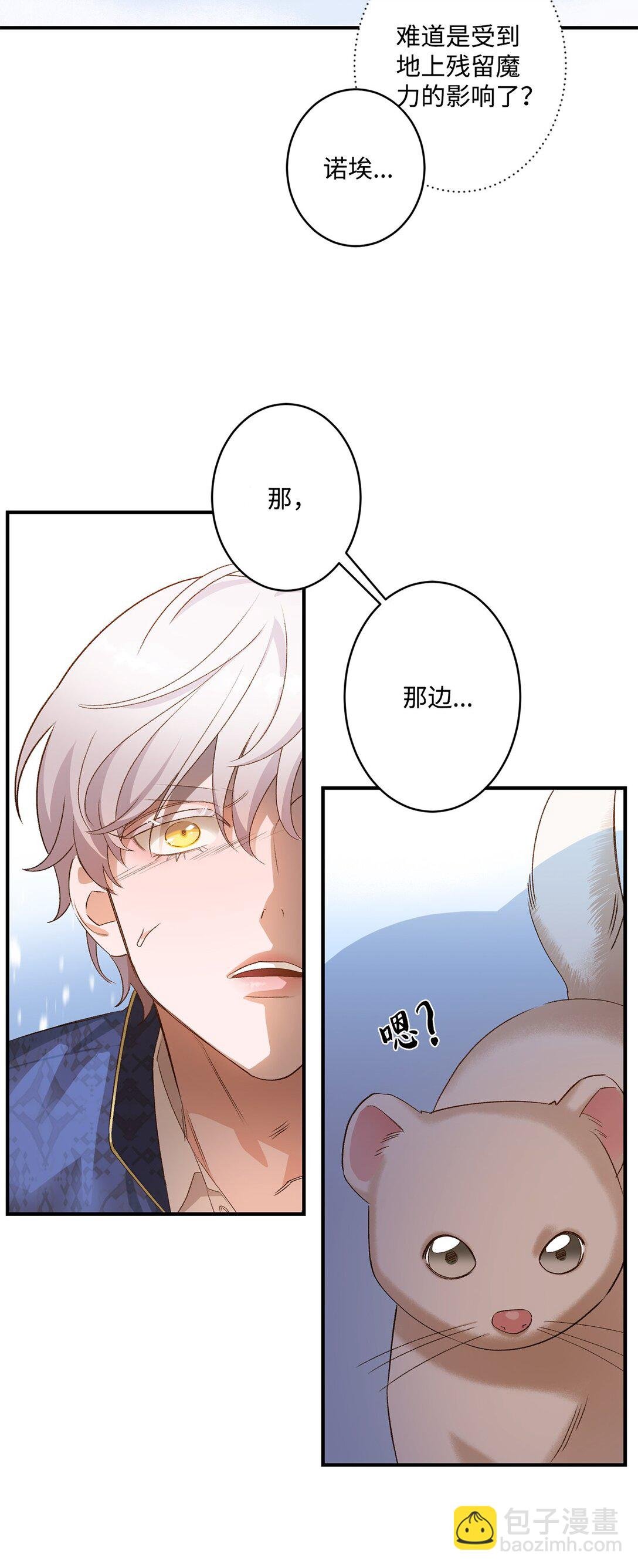 07 灰狼首领的分享
