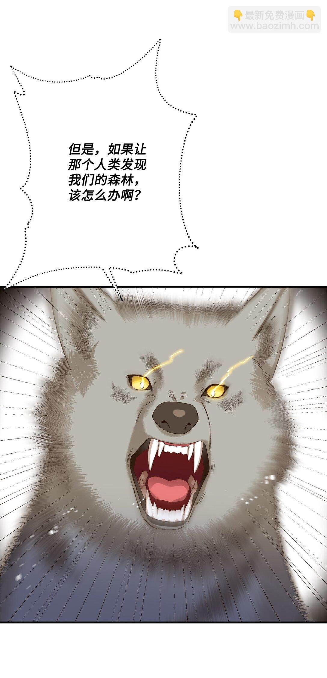 07 灰狼首领的分享