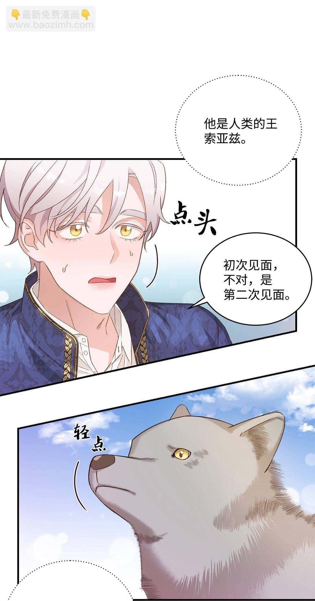 07 灰狼首领的分享