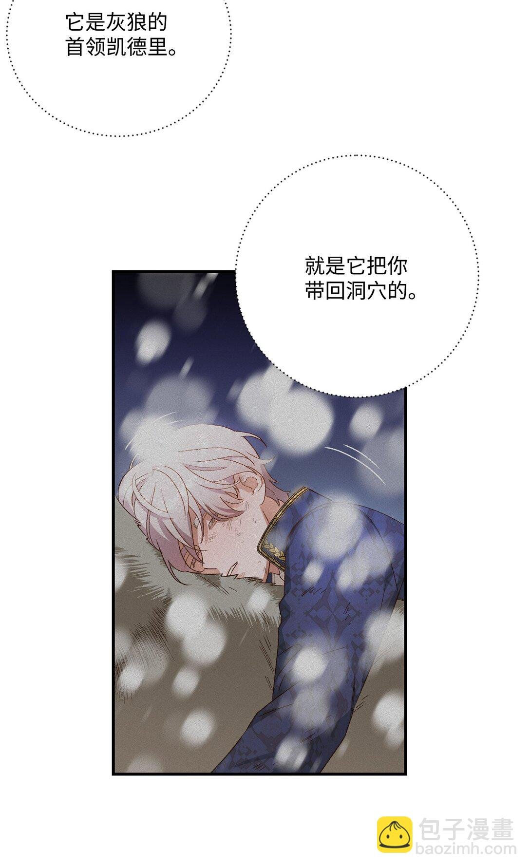 07 灰狼首领的分享