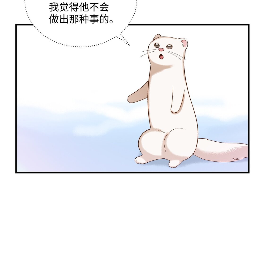 07 灰狼首领的分享