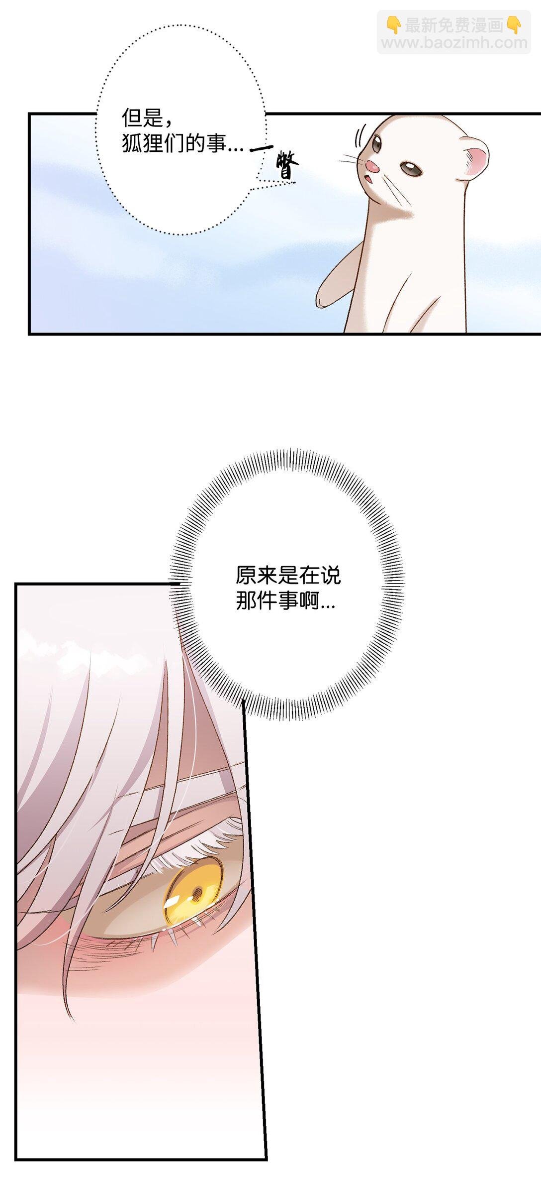 07 灰狼首领的分享