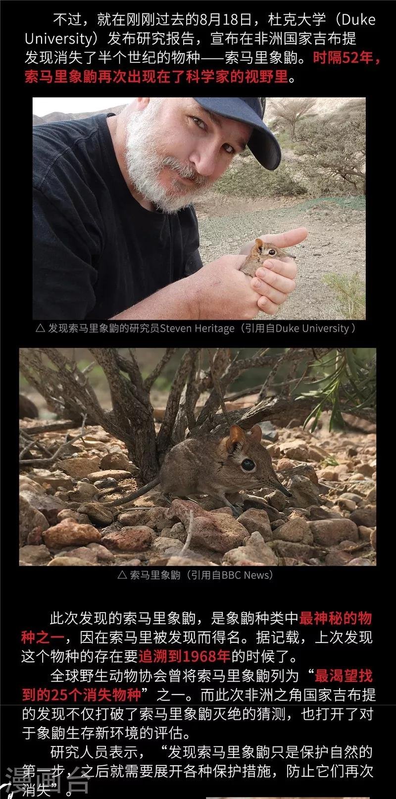 小剧场4 长鼻鼠的秘密