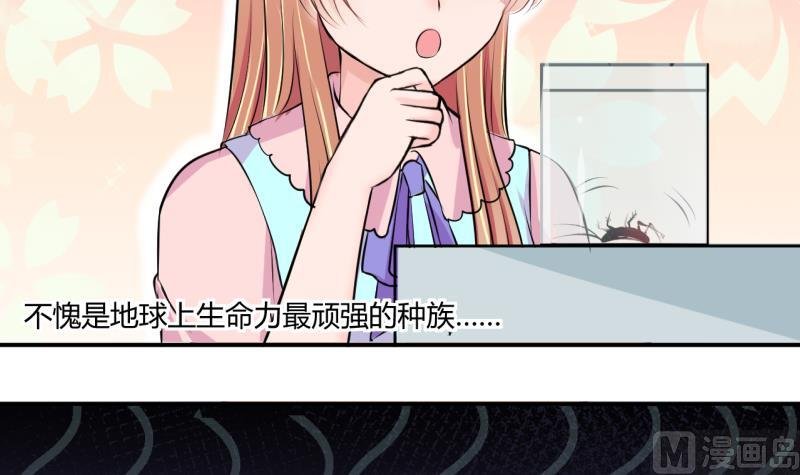 第29话 神奇的交易物品 1
