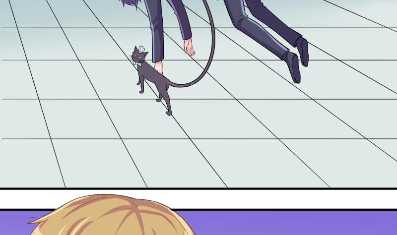 第40话 菜鸟的进击 2