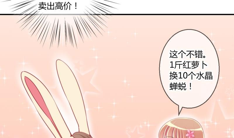 第55话 兔子先生的交易物品 1