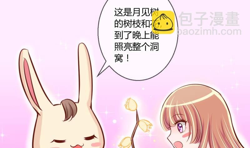 第55话 兔子先生的交易物品 1