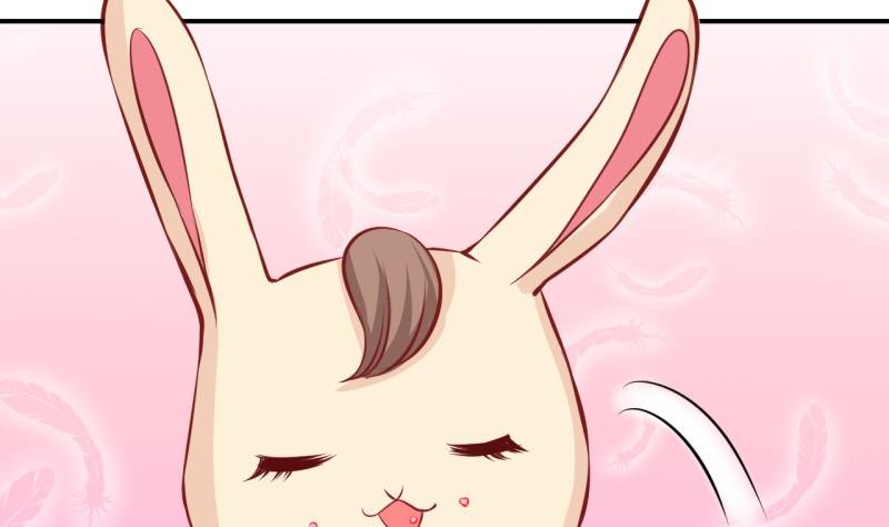 第55话 兔子先生的交易物品 1