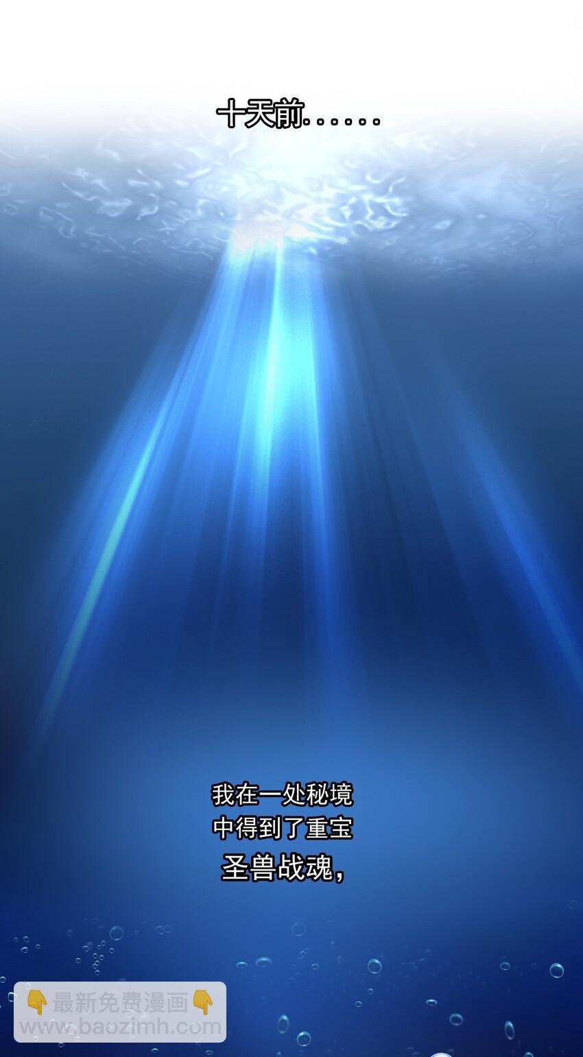 001 圣兽战魂
