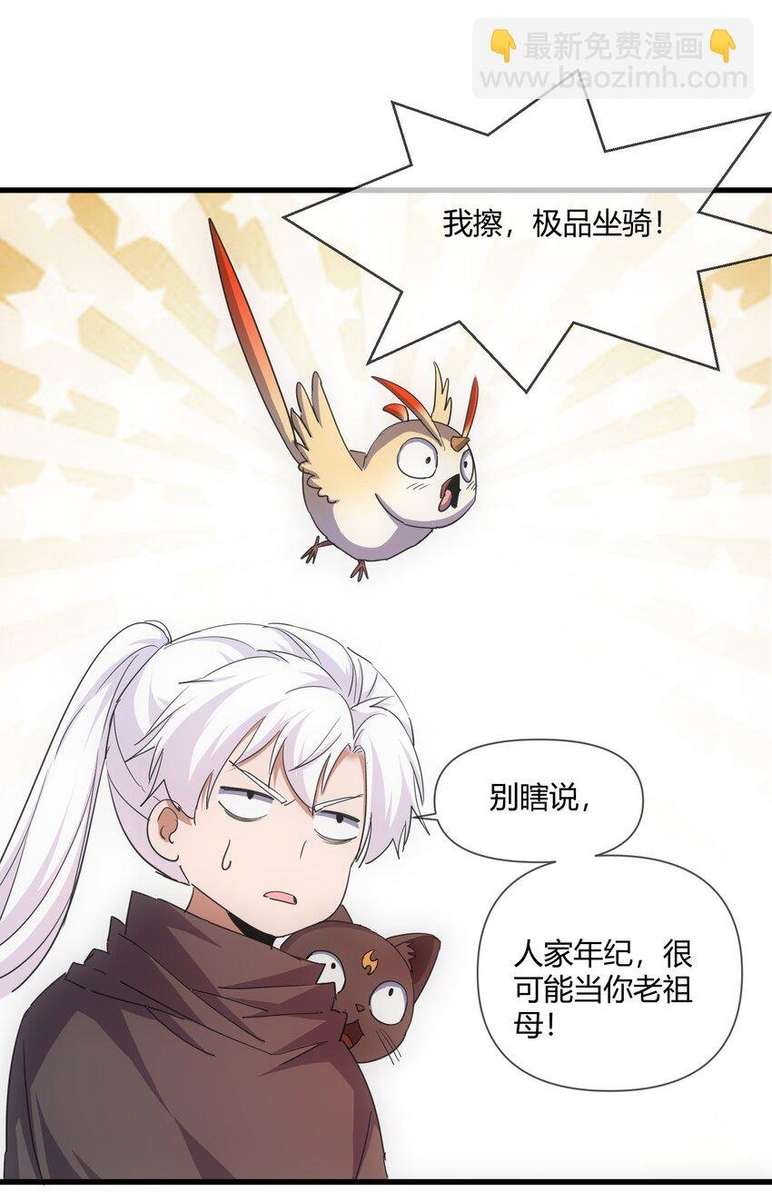172 极品坐骑白子矜
