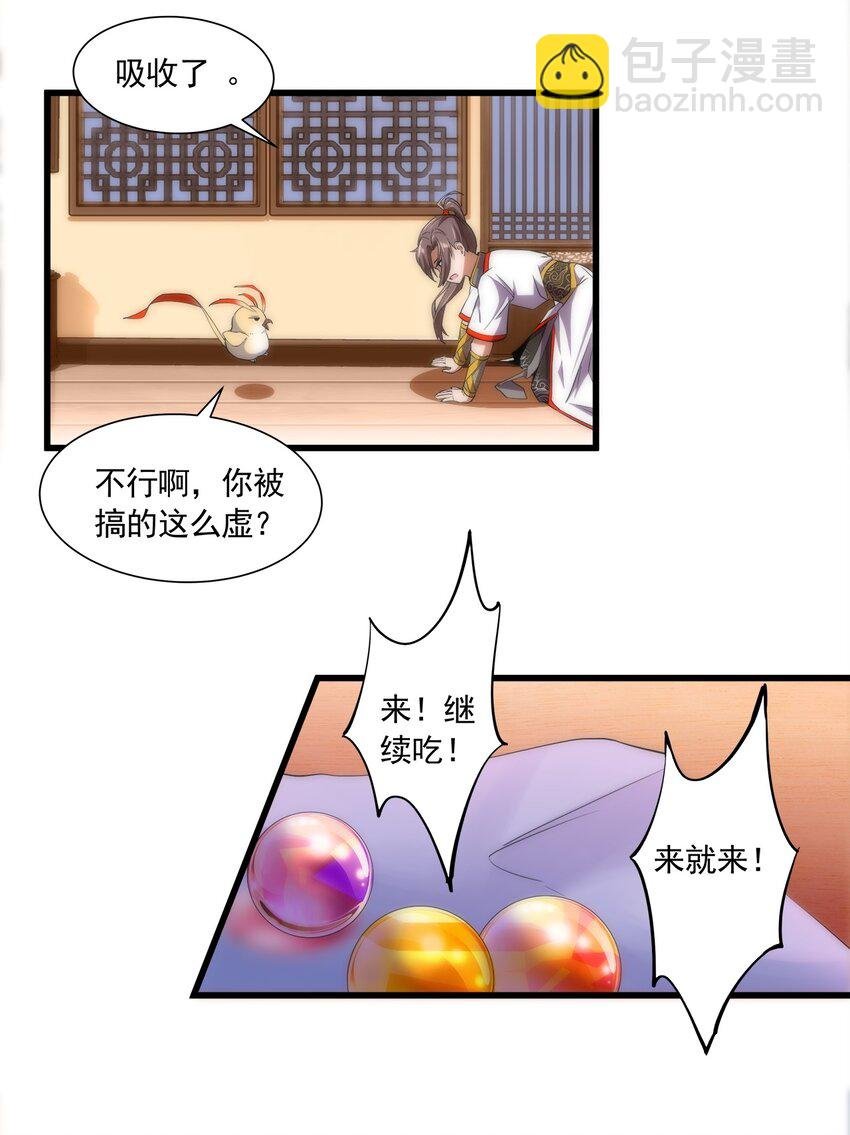 004 母猪上树！