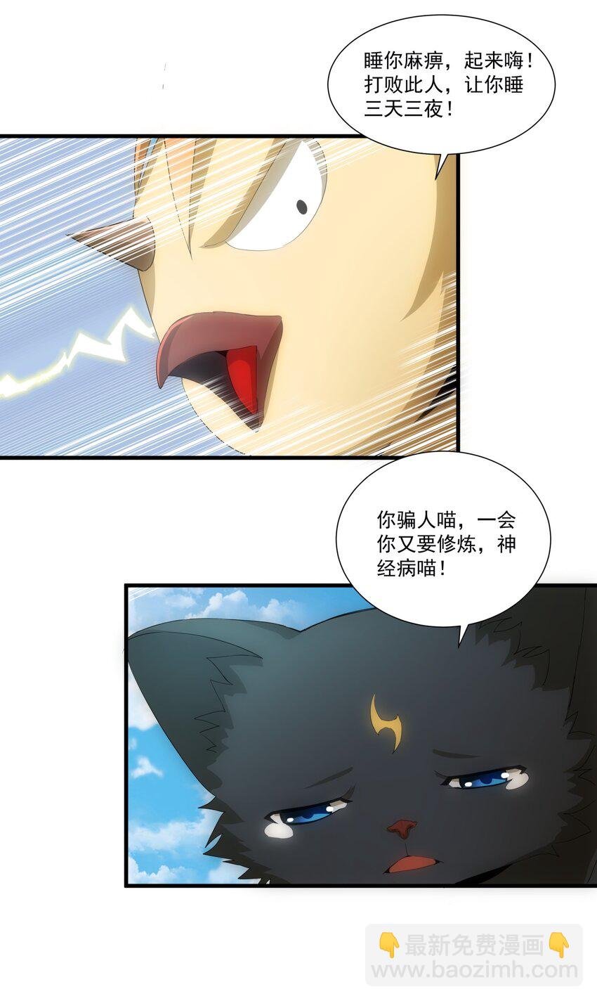 054 喵哥，快醒醒！