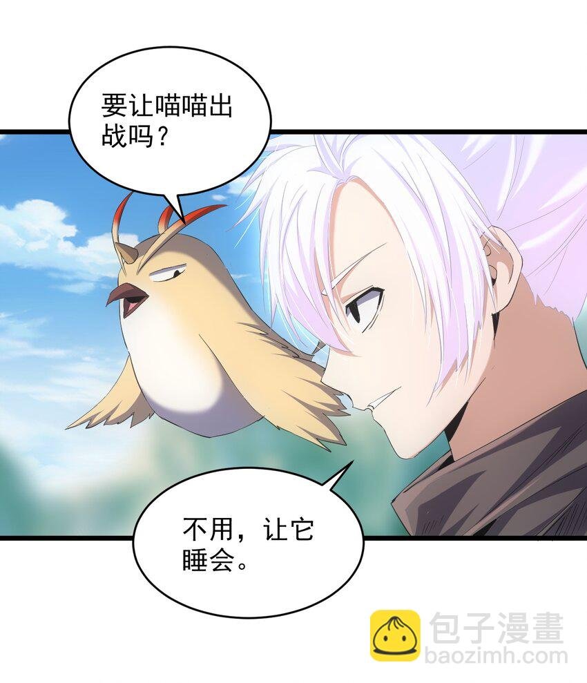 081 新的伴生兽？