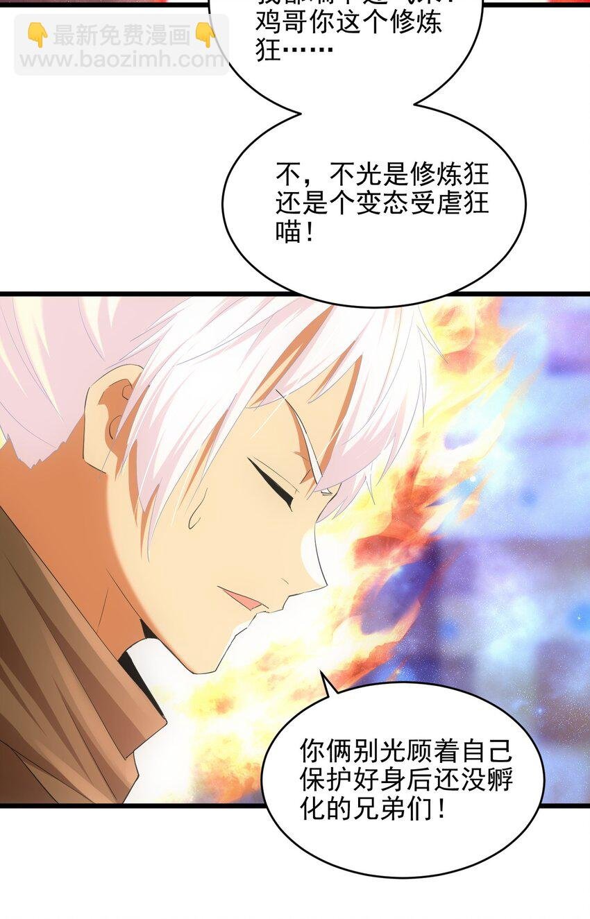 088 猪脸肿不肿？