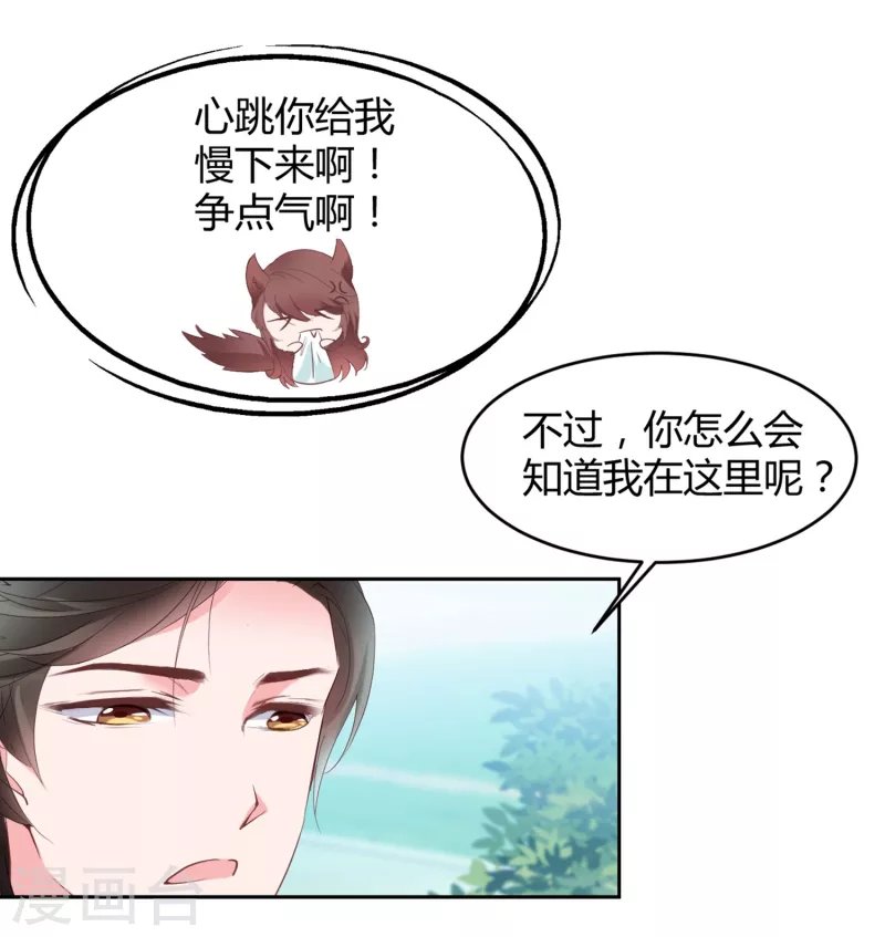 第15话 美女救狐狸