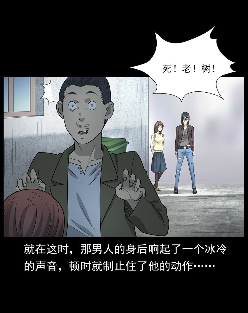 014 老树