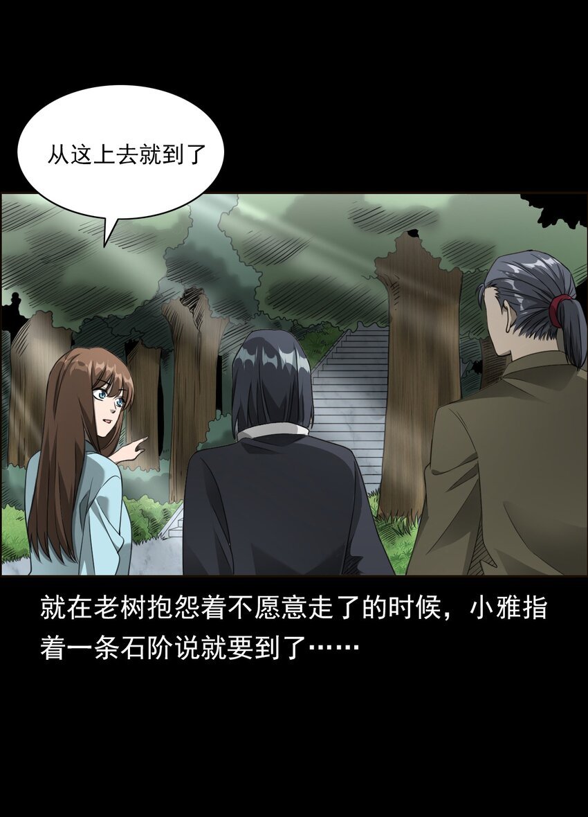 028 深山狐冢