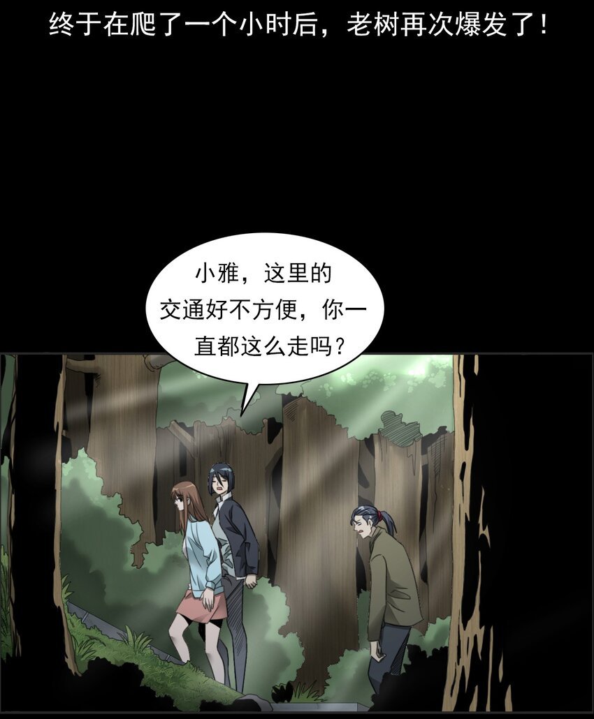 028 深山狐冢