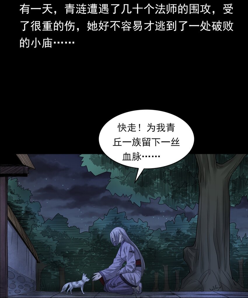 029 青丘狐