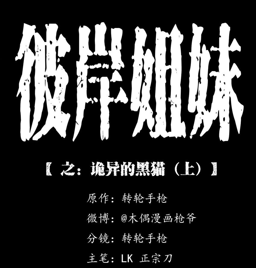 035 诡异的黑猫（上）