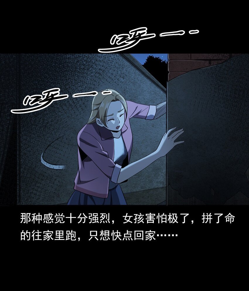 035 诡异的黑猫（上）
