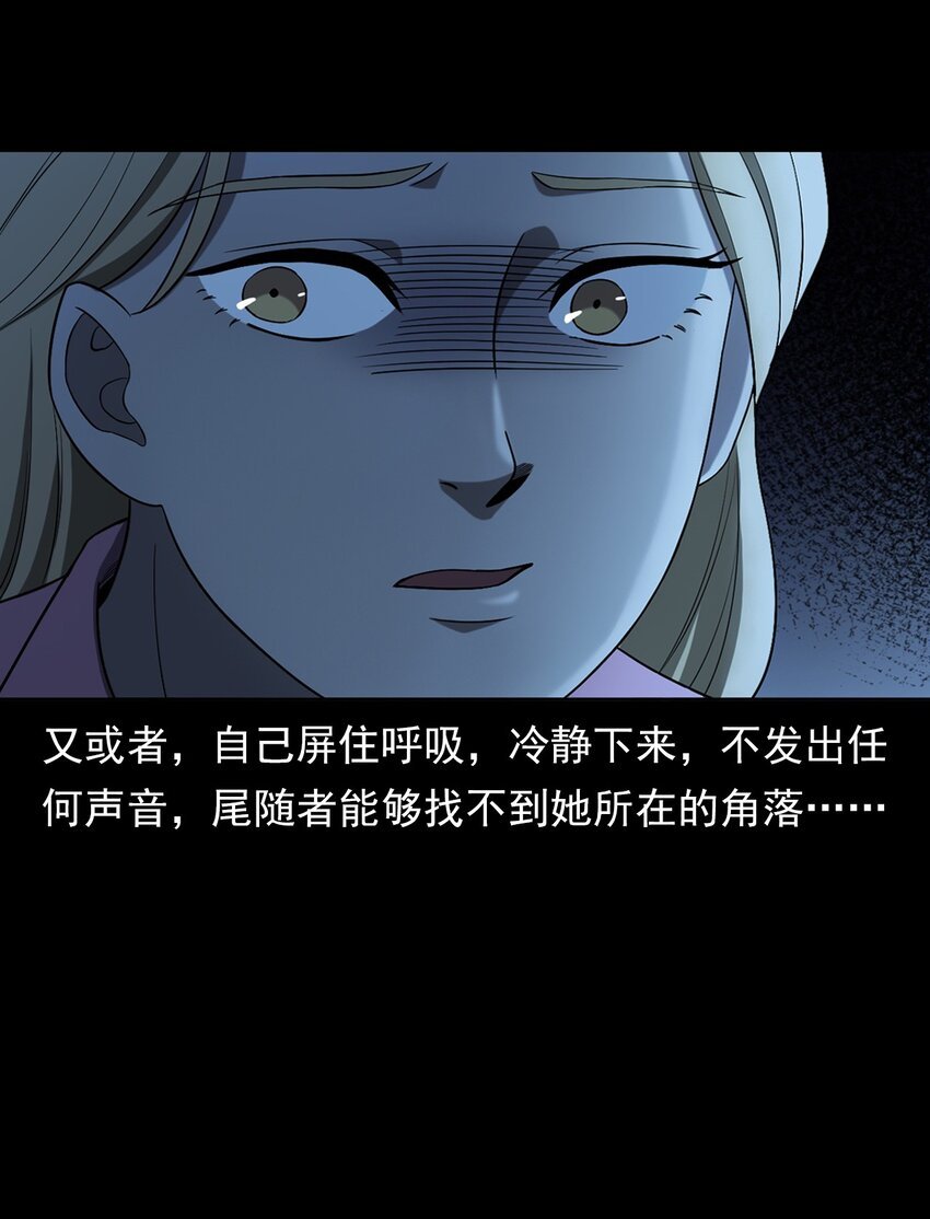 035 诡异的黑猫（上）