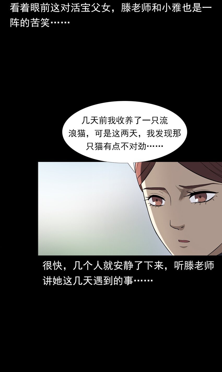 035 诡异的黑猫（上）
