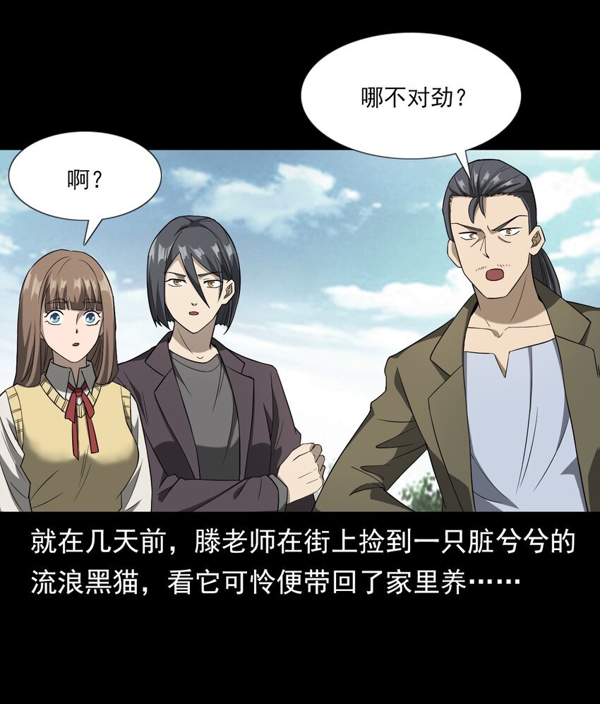 035 诡异的黑猫（上）