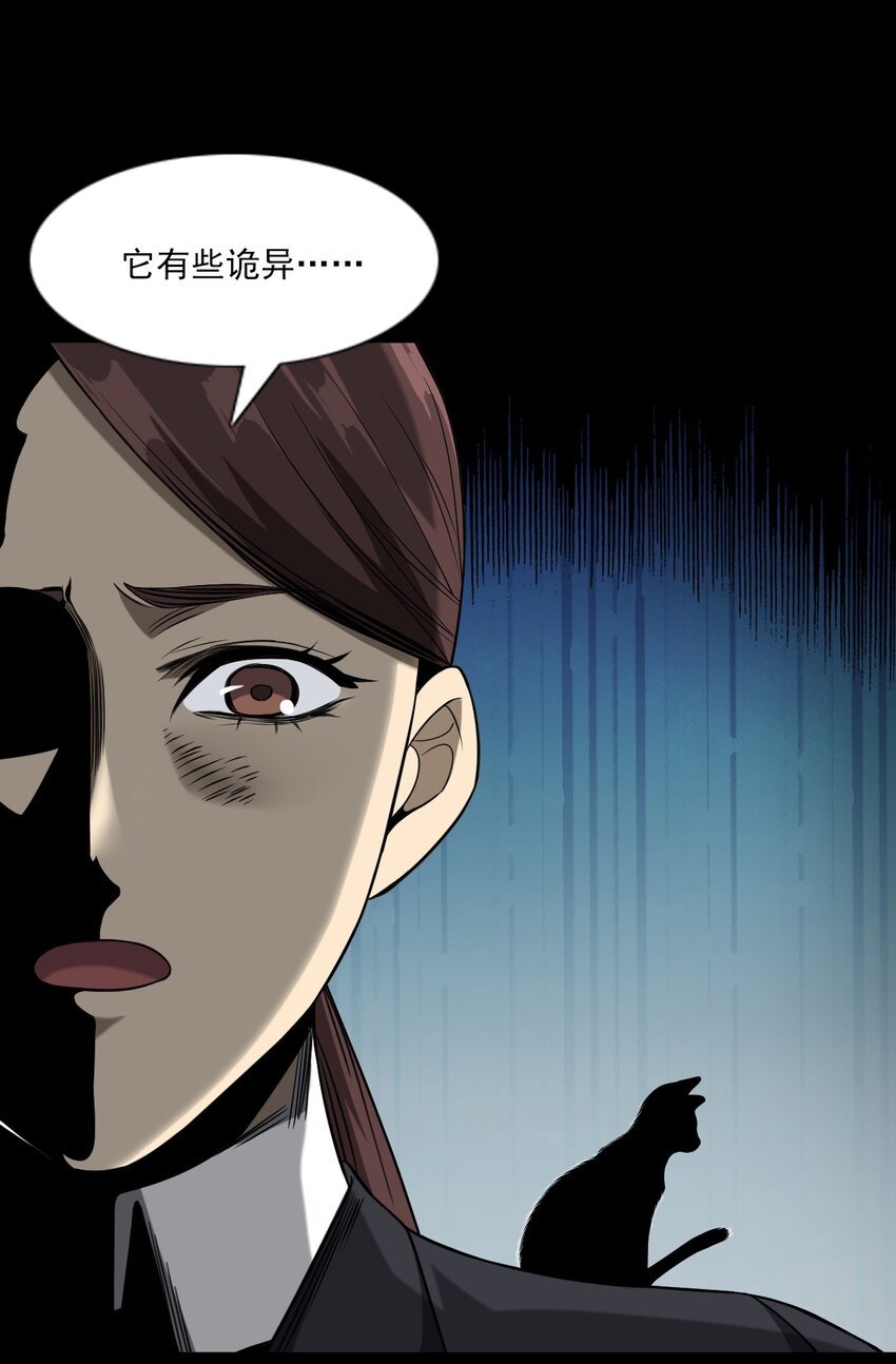 035 诡异的黑猫（上）