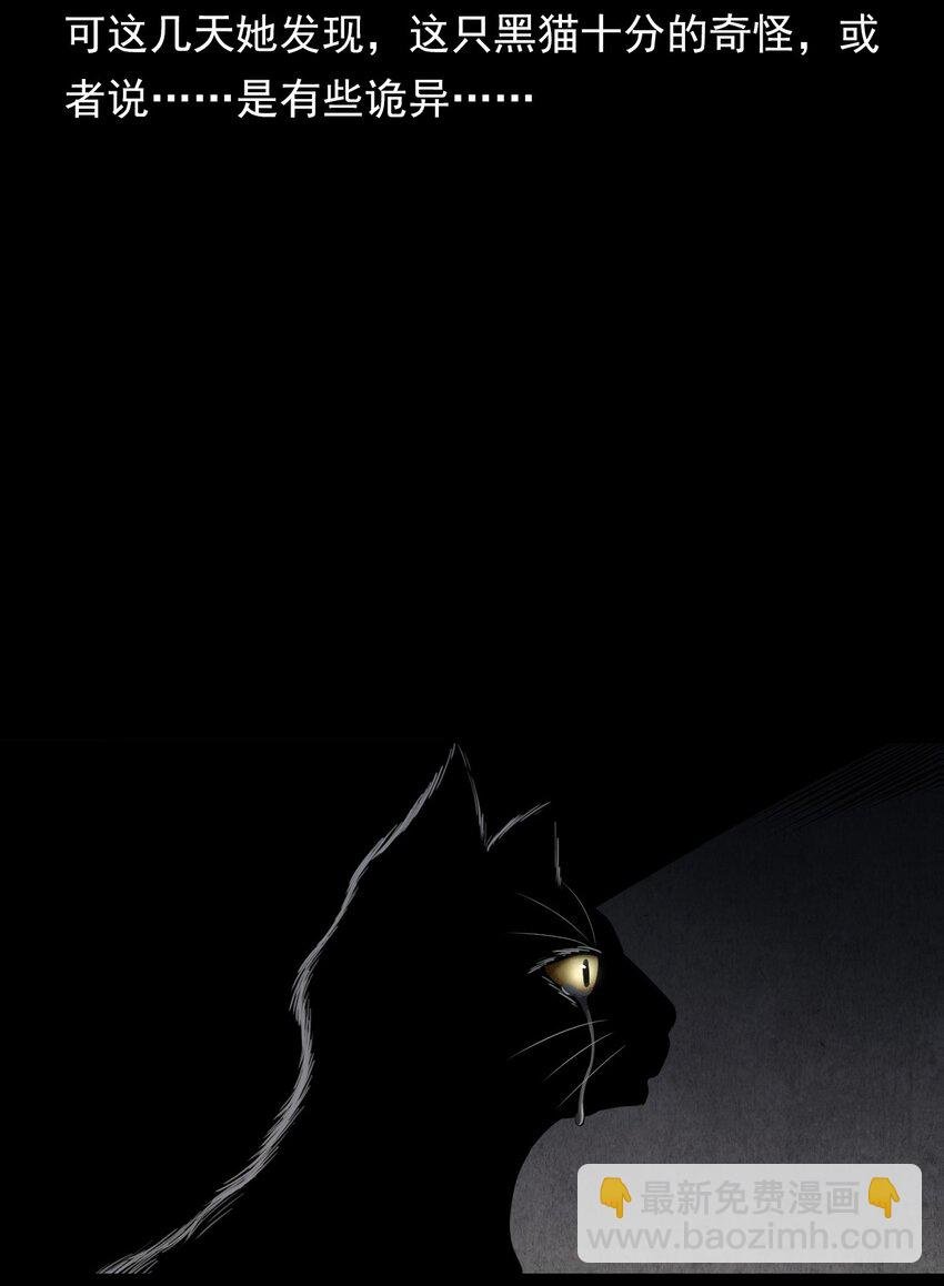 035 诡异的黑猫（上）