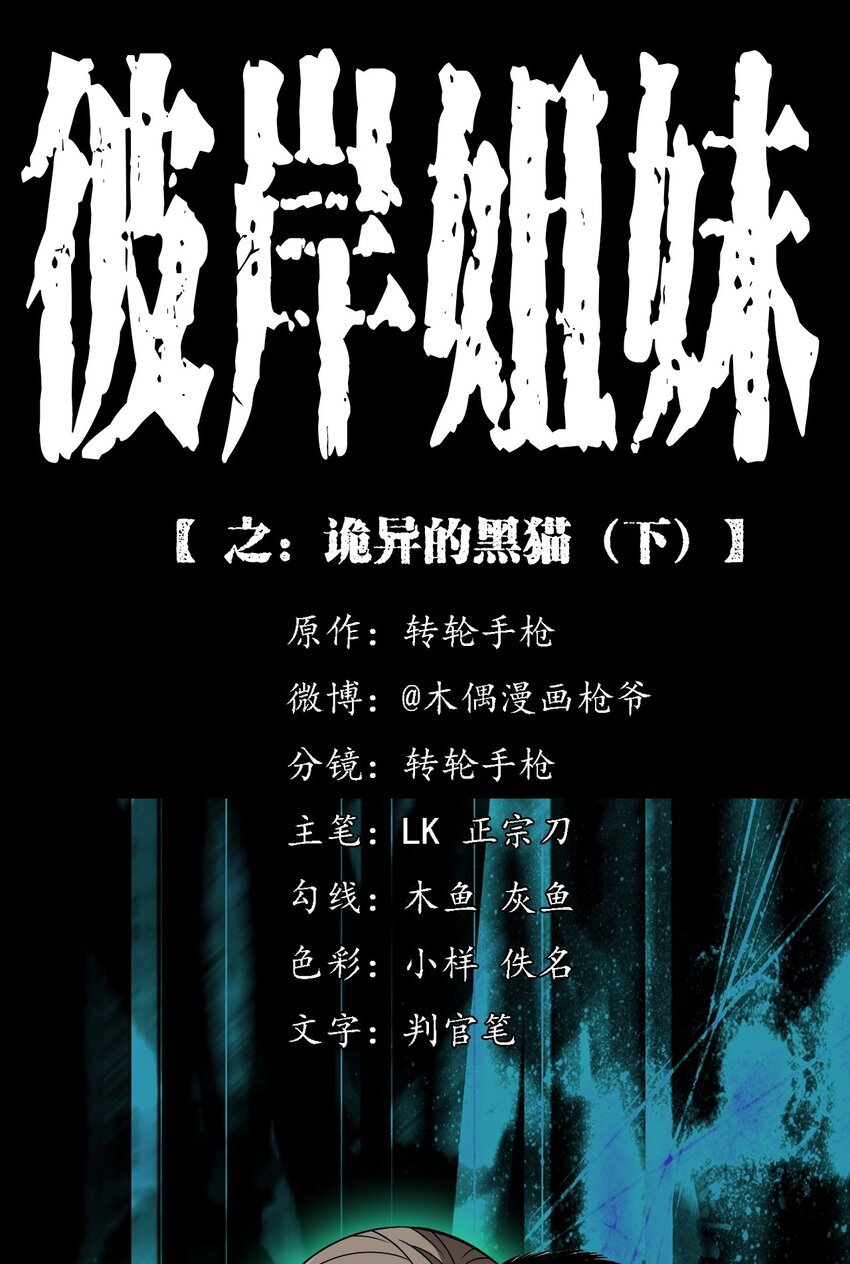 036 诡异的黑猫（下）