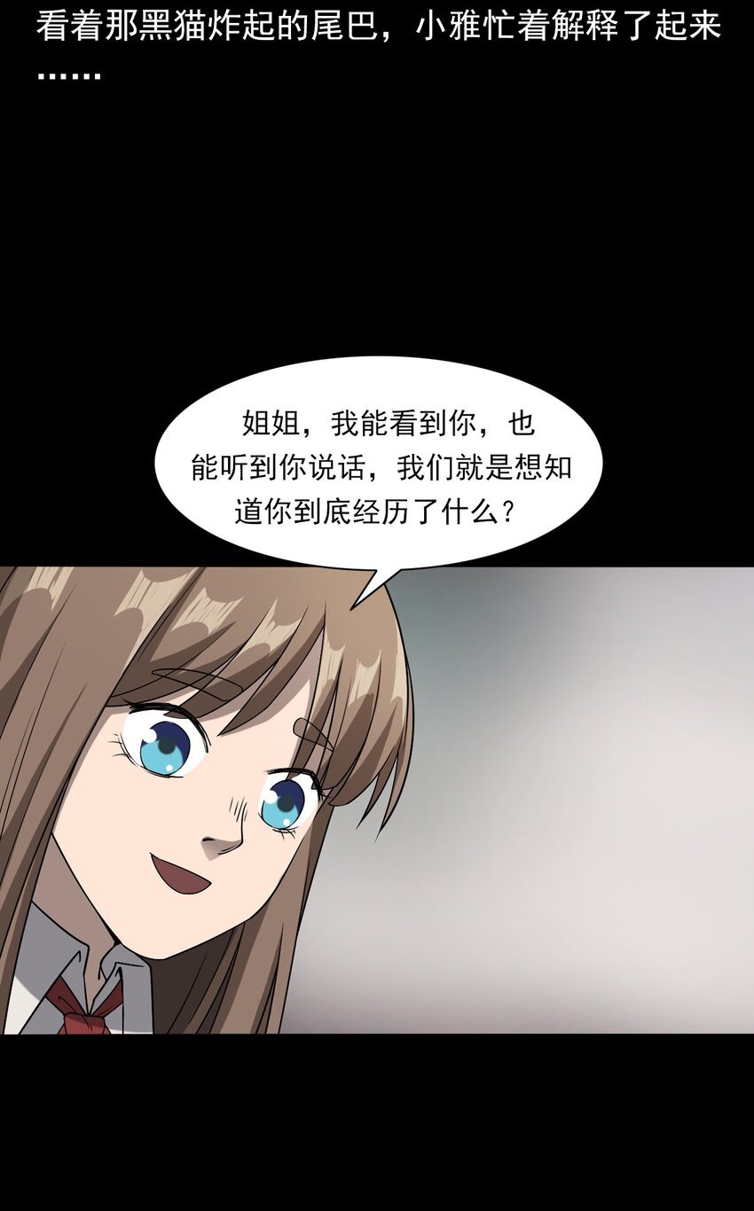 036 诡异的黑猫（下）