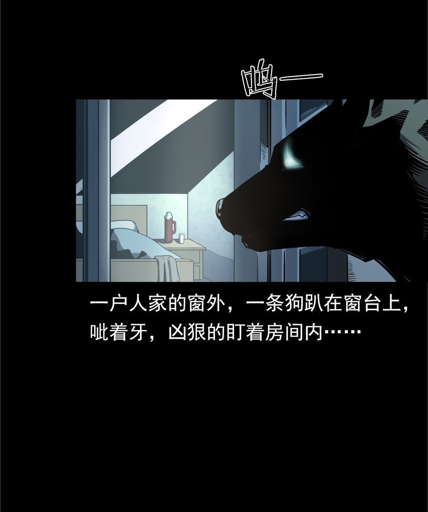 042 灵犬（上）