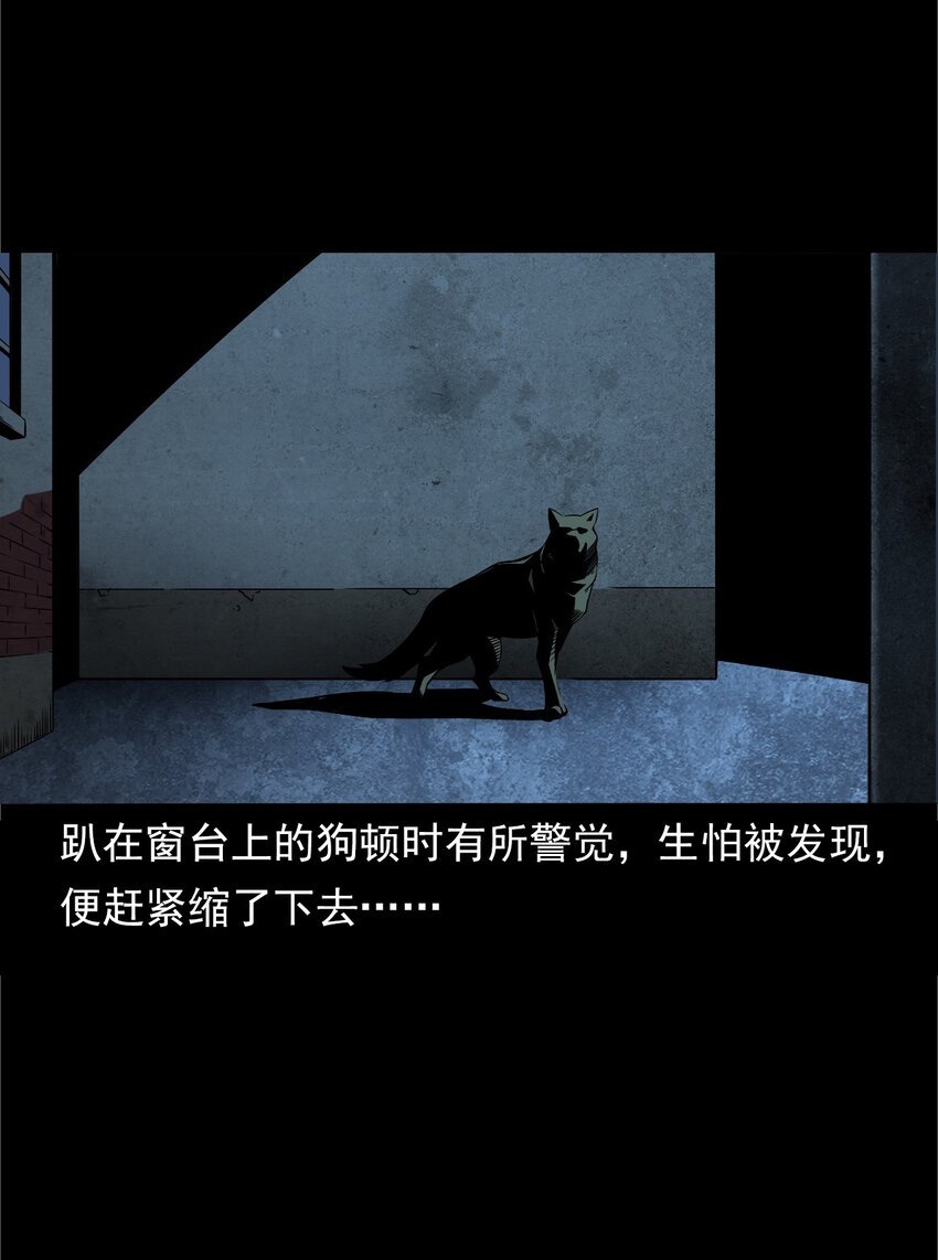 042 灵犬（上）