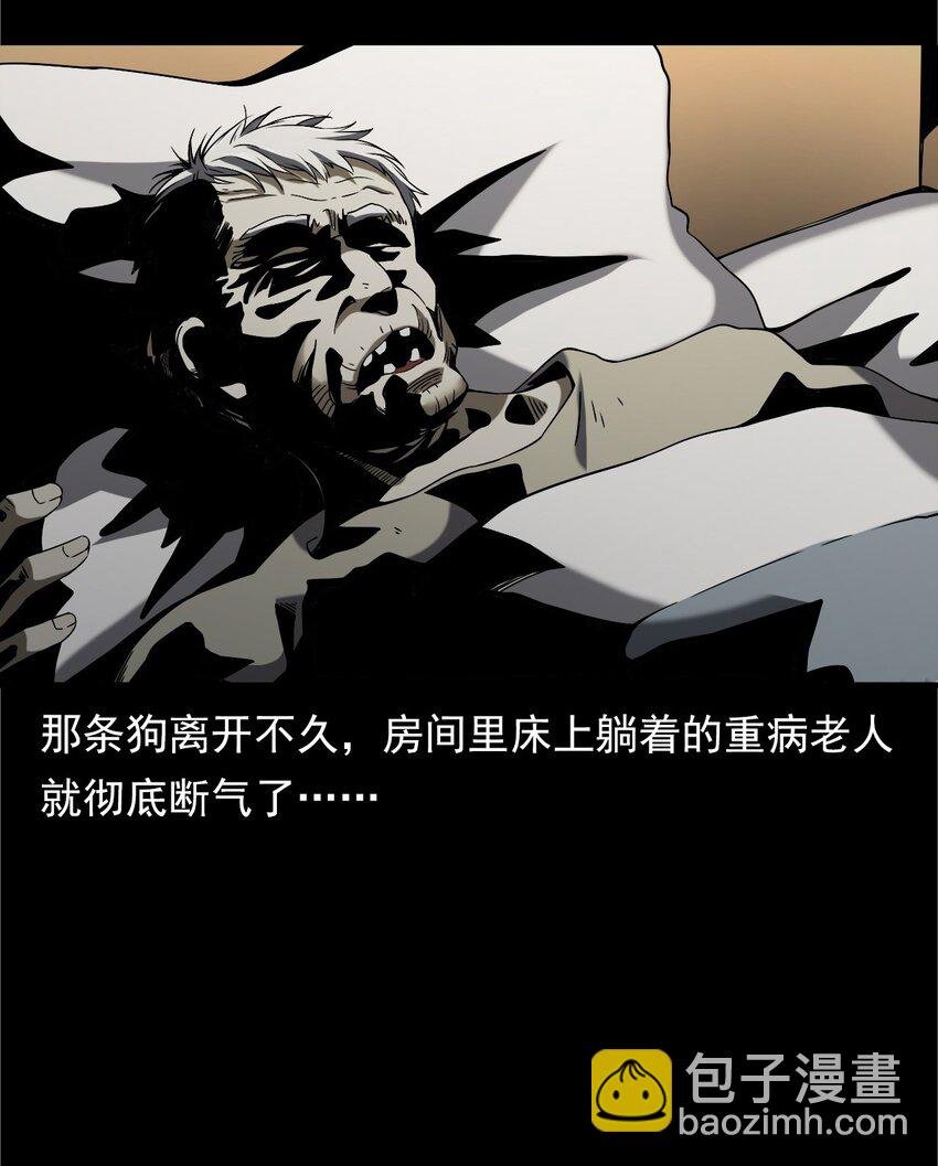 042 灵犬（上）