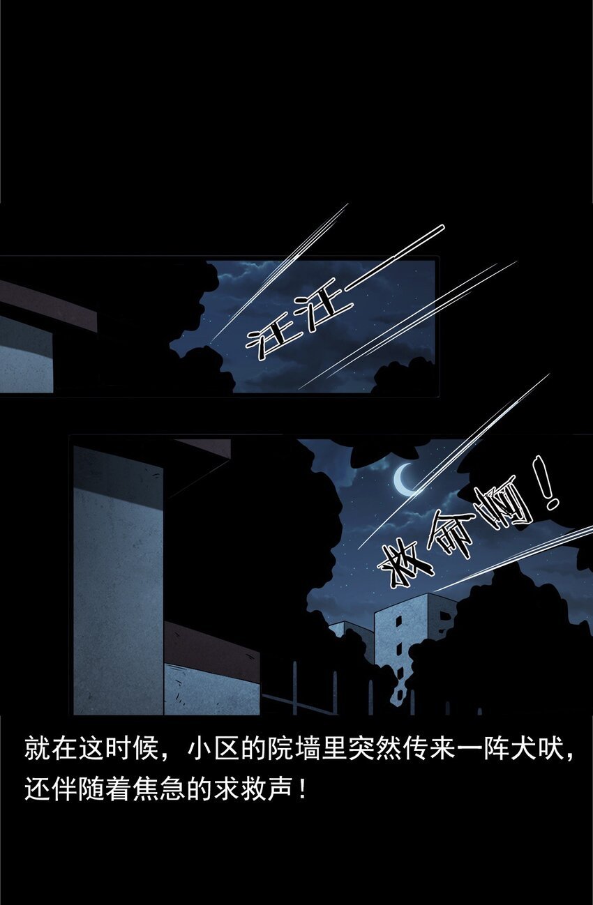 042 灵犬（上）
