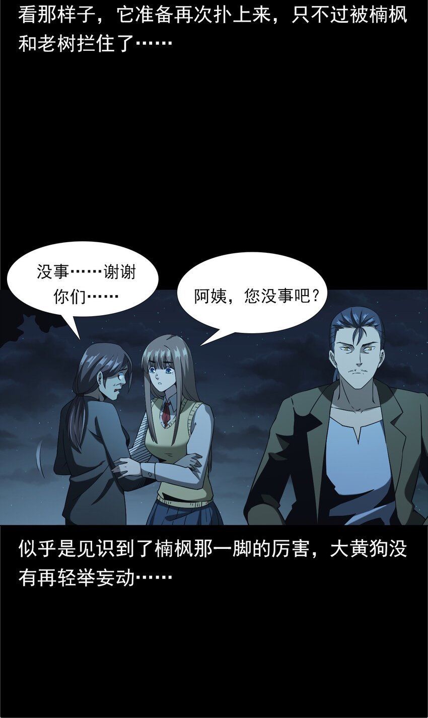 042 灵犬（上）