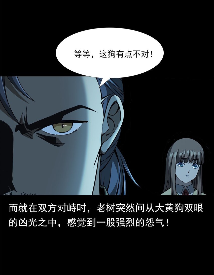 042 灵犬（上）