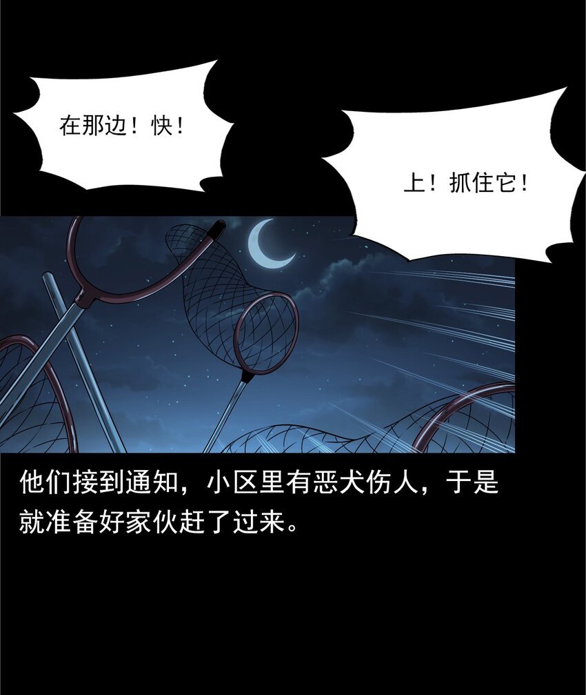 042 灵犬（上）