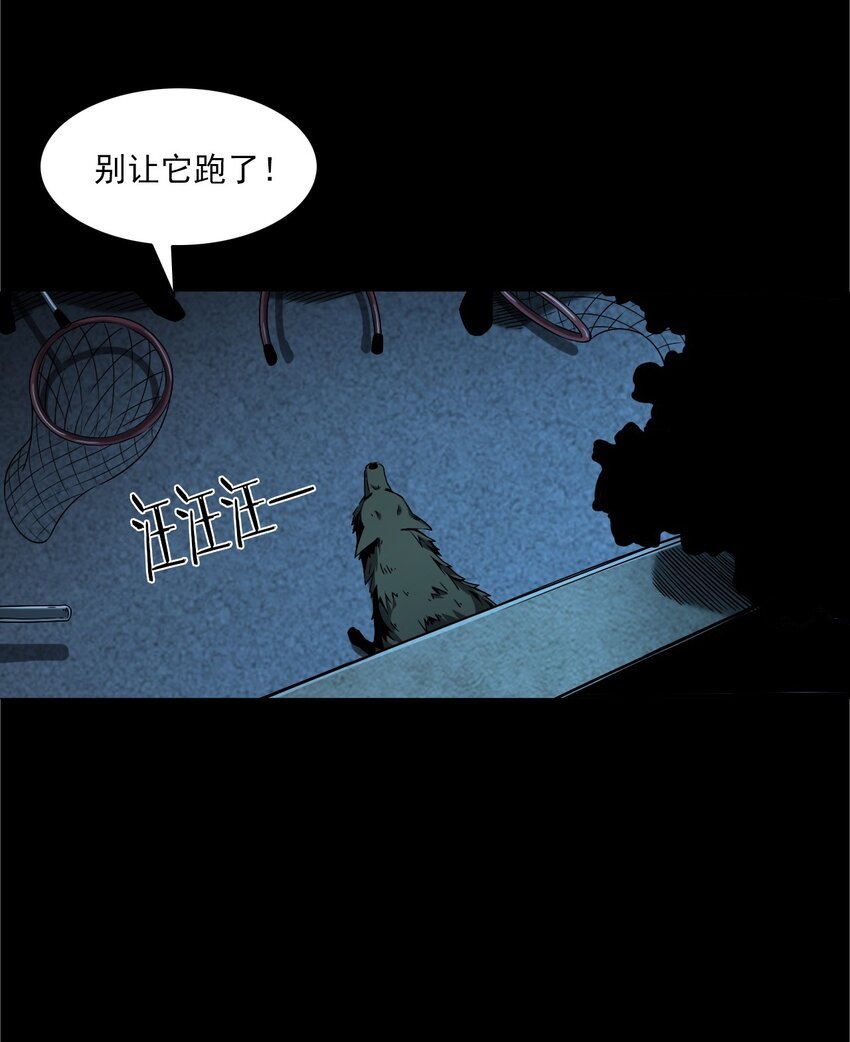 042 灵犬（上）
