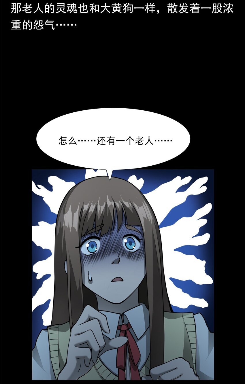 043 灵犬（下）