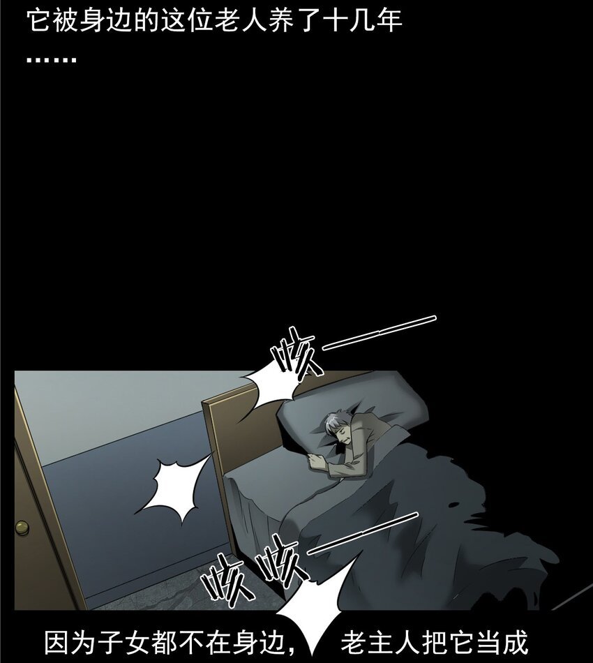 043 灵犬（下）